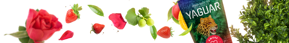 Yaguar Amore - Baner