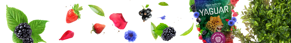 Yaguar Berryland - Baner