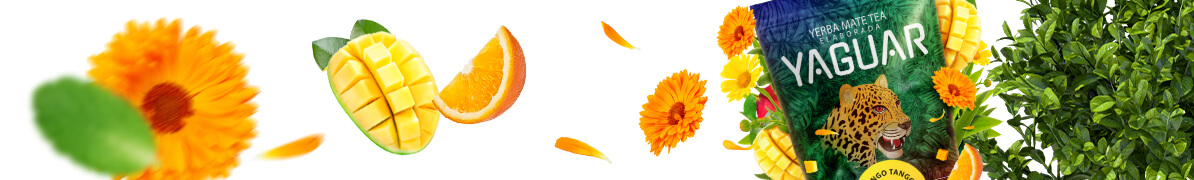 Yaguar Mango Tango - Baner