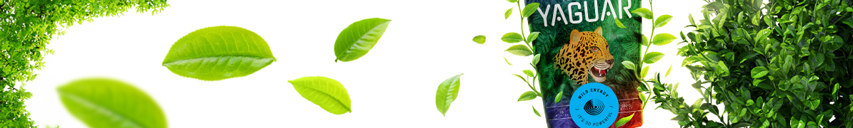 Yaguar Wild Energy - Baner