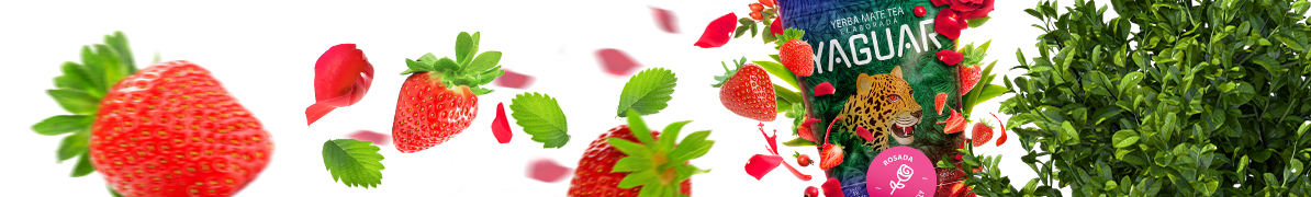 Yaguar Rosada - Baner