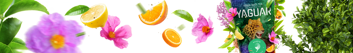 Yaguar Silueta - Baner