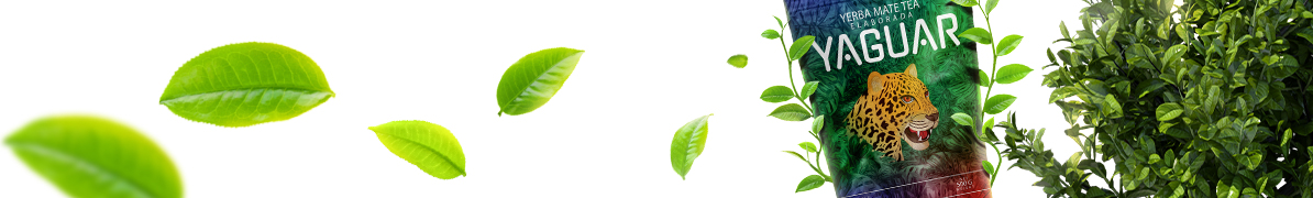 Yaguar Elaborada con Palo - Baner