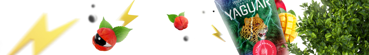 Yaguar Energía Guaraná - Baner