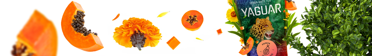 Yaguar Papaya - Baner