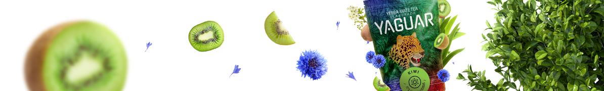 Yaguar Kiwi - Baner