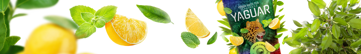 Yaguar Menta Limon - Baner
