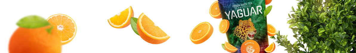 Yaguar Naranja - Baner