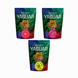 Trio yerba mate Yaguar auf START für Anfänger