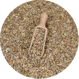 Vivarini – Mariendistel (Samen) 1 kg