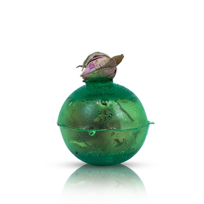 Mary Rose – Sunny Garden Teebombe (mini)