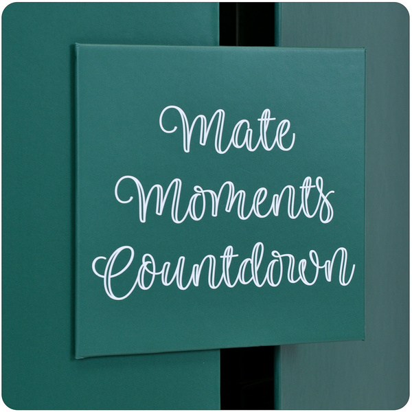 Adventskalender – Mate Tee und Zubehör – Verde Mate und andere Marken