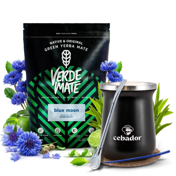 Mate Tee Set Verde Mate 500g 0,5kg Thermobecher TermoMate PRO