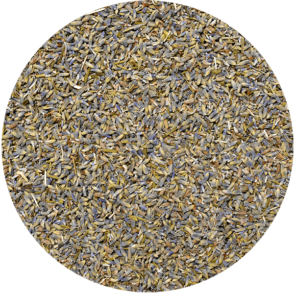 Mary Rose – Lavendel 25 g – Lavendelblüte (ökologisch)