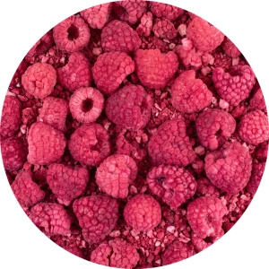 FiloLilo – Gefriergetrocknete Himbeere 20 g