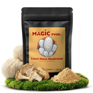 Magic Pwdr – Lion’s Mane – Igelstachelbart 30 g
