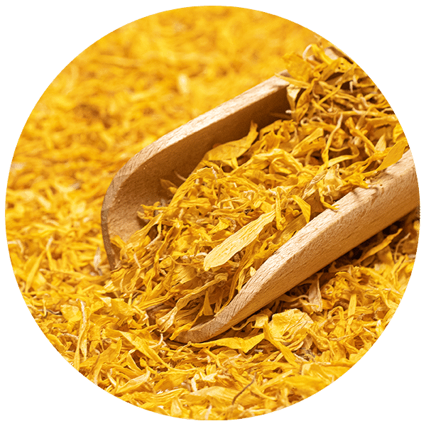 Mary Rose – Ringelblume 100 g – Ringelblumenblüte (Blütenblätter)