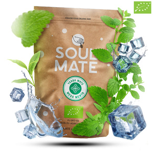 Mate Tee Set Verde Mate 500g 0,5kg Kalebasse + Bombilla
