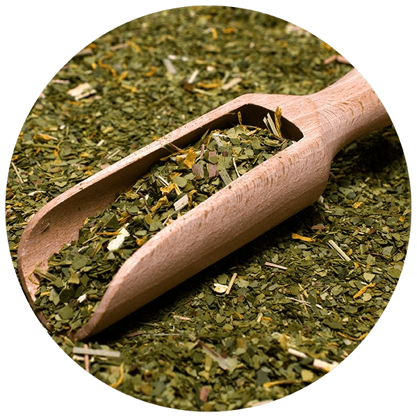 Verde Mate Green Fitness - Close-up