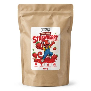 FiloLilo – Gefriergetrocknete ganze Erdbeeren 100 g