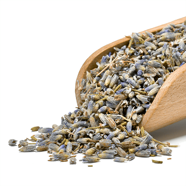 Mary Rose – Lavendel 25 g – Lavendelblüte (ökologisch)