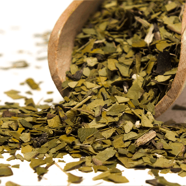 Yerbera – Metalldose + Verde Mate Green Organica 0,5 kg