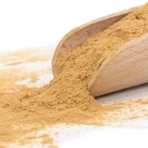 Magic Pwdr – Reishi – Glänzender Lackporling 50 g