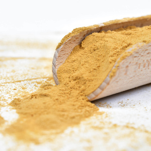 Magic Pwdr – Lion’s Mane – Igelstachelbart 100 g