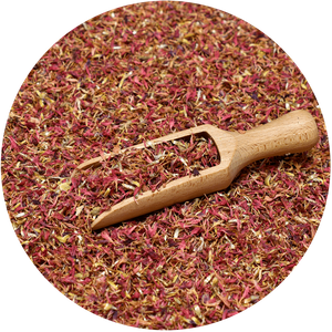 Mary Rose –  Rot Kornblume 10 g – Kornblumenblüten