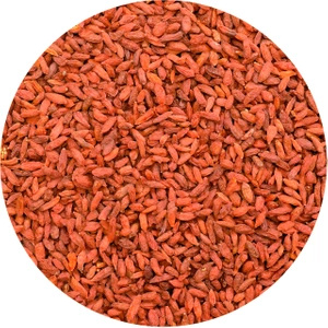 Vivarini - Getrocknete Goji-Beeren 1 kg