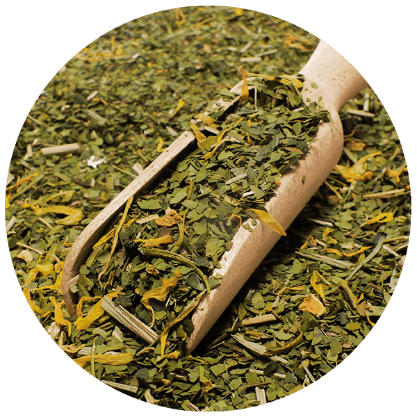 Trio Yerba Verde Mate auf START für Anfänger