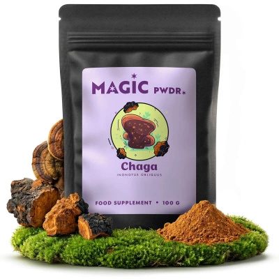 Magic Pwdr – Chaga – Schiefer Schillerporling 100 g
