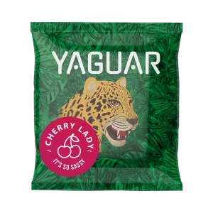Mate Tee Set: Proben Yaguar 10x50g + Kalebasse + Bombilla