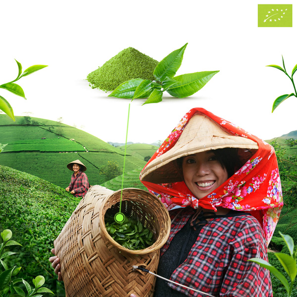 Mary Rose – Japanischer Grüner Tee Matcha Tenno (BIO) Zeremoniell 50 g