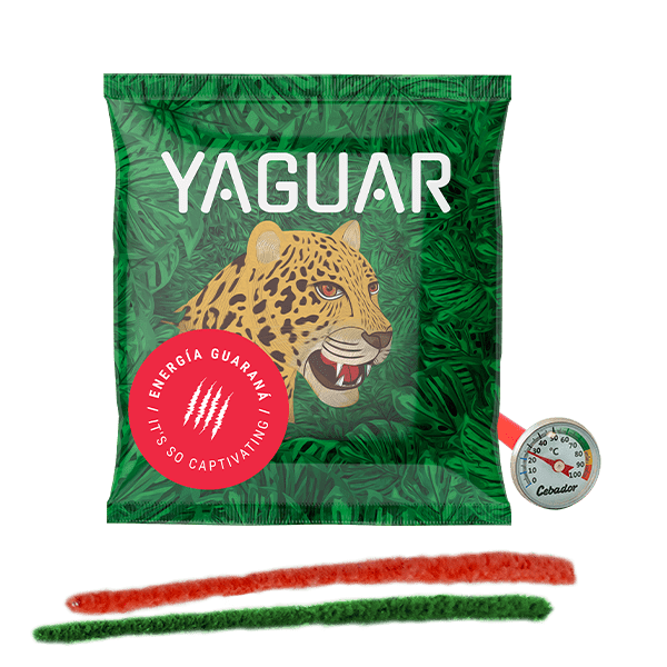 Yerba Mate Tee 50g + Thermometer + Reiniger Set