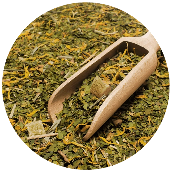 Verde Mate Green Ananas - Close-up