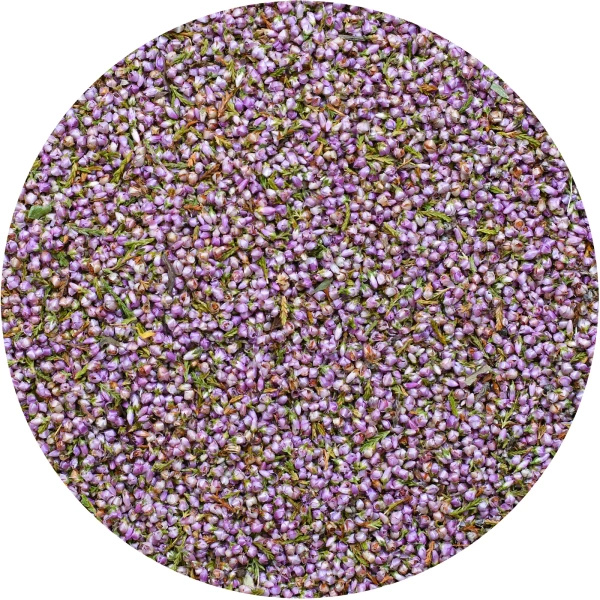 Mary Rose – Heidekraut  30 g – Heidekrautblüte