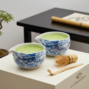 Zeremonielles Set zur Zubereitung von Matcha-Tee: japanischer Bio-Matcha 30g + Zubehör