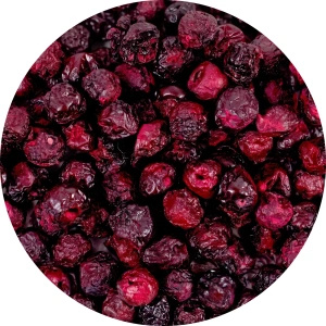 FiloLilo – Gefriergetrocknete Sauerkirschen (ganz, entsteint) 20 g