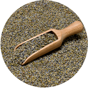 Mary Rose – Lavendel 25 g – Lavendelblüte (ökologisch)