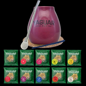 Satz Yerba Mate Yaguar 10x50g Kalebasse Bombilla