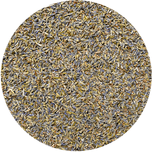 Mary Rose – Lavendel 25 g – Lavendelblüte (ökologisch)