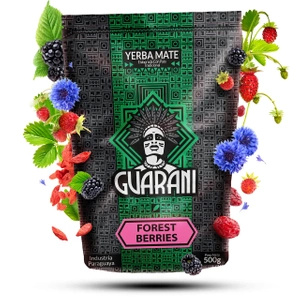 Mate Tee Guarani Energie und Frucht Set 3x500g