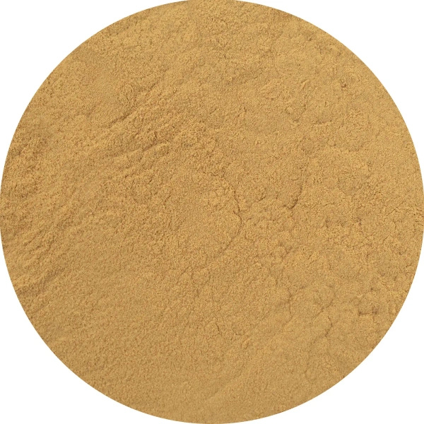 Magic Pwdr – Reishi – Glänzender Lackporling 50 g