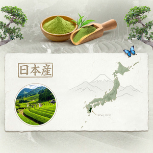Mary Rose – Japanischer Grüner Tee Matcha Tenno (BIO) Zeremoniell 50 g