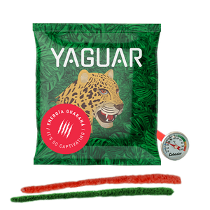 Yerba Mate Tee 50g + Thermometer + Reiniger Set