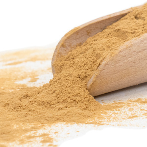 Magic Pwdr – Reishi – Glänzender Lackporling 30 g