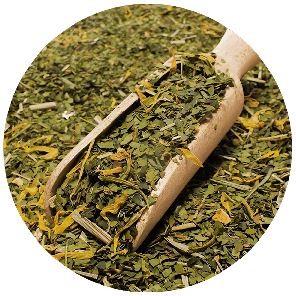 Verde Mate Green Summertime - Product