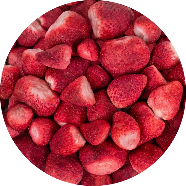 FiloLilo – Gefriergetrocknete ganze Erdbeeren 20 g