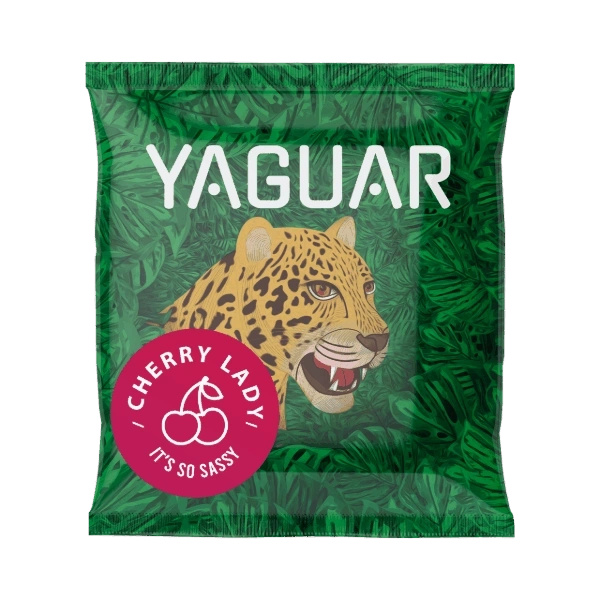 Mate Tee Set: Proben Yaguar 10x50g + Kalebasse + Bombilla